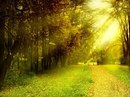 Осень только взялась за работу,