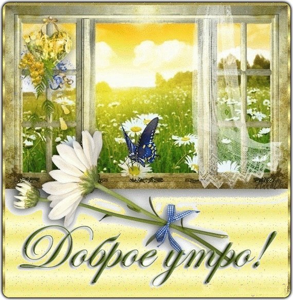 https://pp.userapi.com/c7008/v7008955/8117e/dKWMa285aMI.jpg