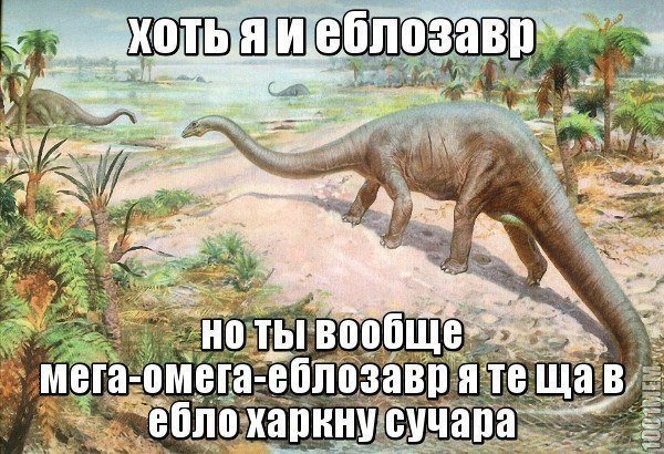 tzQJsMSX6Lc.jpg