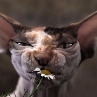 Таня Лукашкина