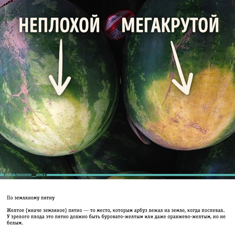 https://pp.userapi.com/c7011/v7011056/1c6fc/cIDKvkSvW4U.jpg