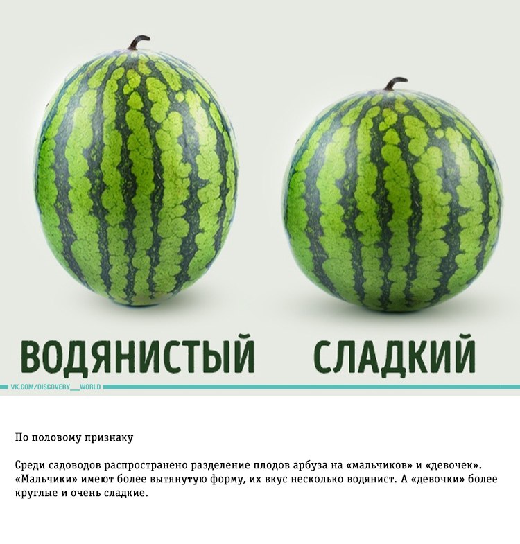 https://pp.userapi.com/c7011/v7011056/1c70c/3a0UuSCklTU.jpg