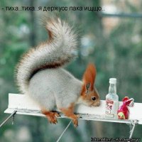 Max Овчинников
