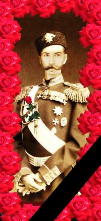 Виталик Виталик