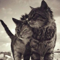 Мария Воронина | Санкт-Петербург