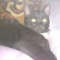 Гузель Галимова | Уфа