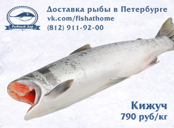 Компания «Рыбный дар» предлагает Вам приобрести качественную рыбную продукцию с доставкой до Вашего дома или офиса по низким ценам!