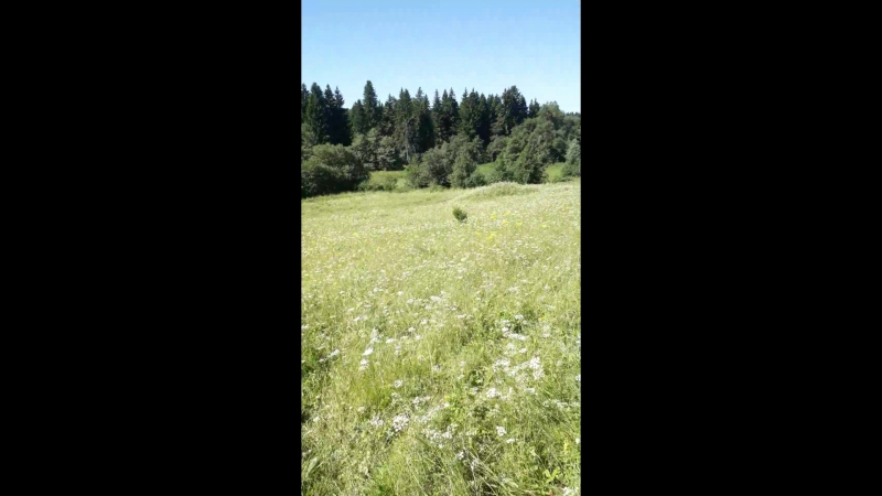 20180722_140818.mp4