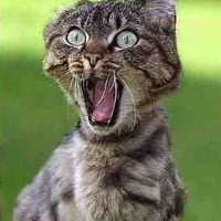 Владимир Трофимов