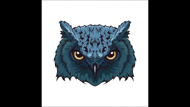OWL (deflow.net)
