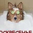 Объявление от Ольга - фото №1