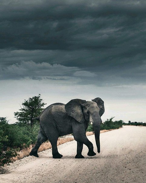 Namibia