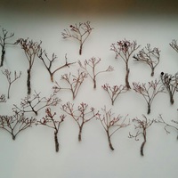 Мася Пронякина