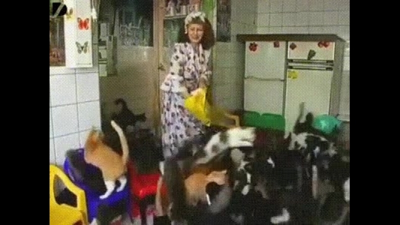 Doc210450672_441502812.mp4