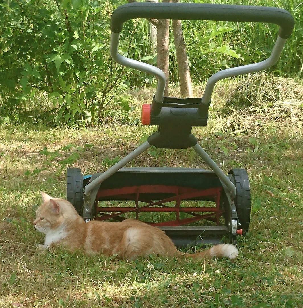 Кафе "У пани Сони"