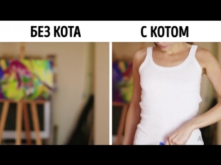 Без кота жизнь не та