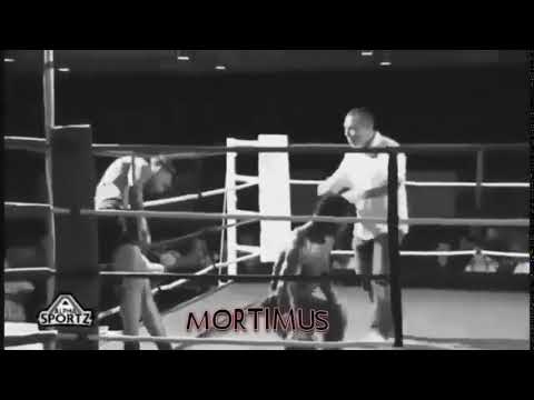 MORTIMUS VINE !