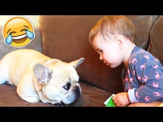 The Cutest Kids and Animals Compilation! Funny Baby Videos | July 2018