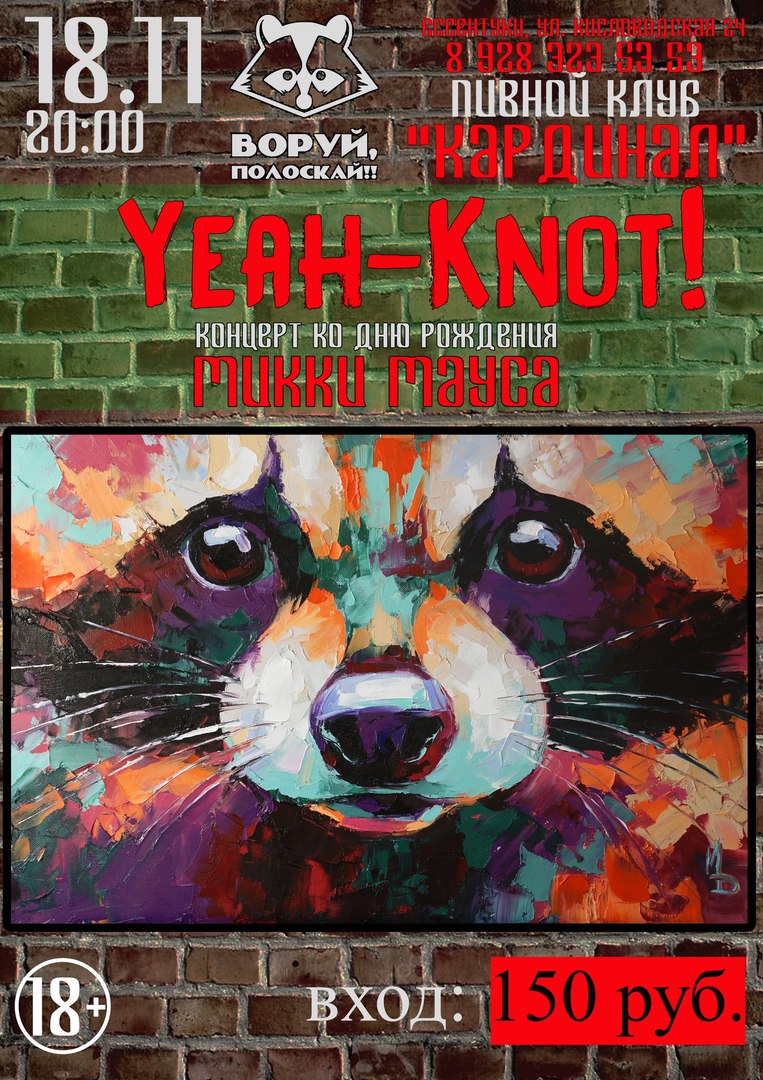 Афиша Пятигорск 18.11Yeah-Knot / День рождения Микки )