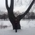 Фото пользователя Диана