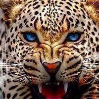 Алла Алексеевна | Ногинск