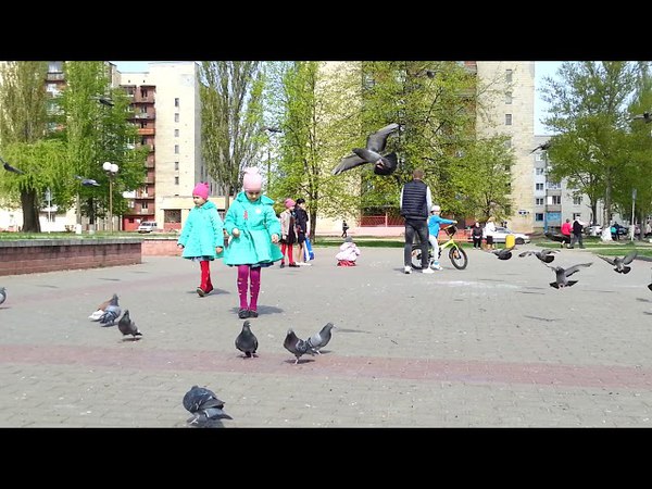 Mozyr 2018 Buflyr