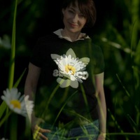 Елена Синельченко