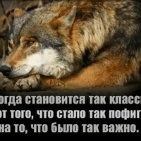 Руслан Севаров