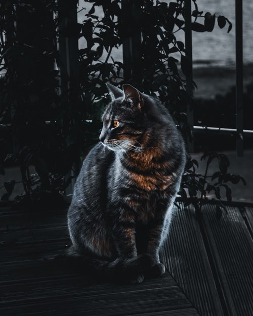 https://pp.userapi.com/c824204/v824204900/13e7c1/bfQPQBGY-kg.jpg