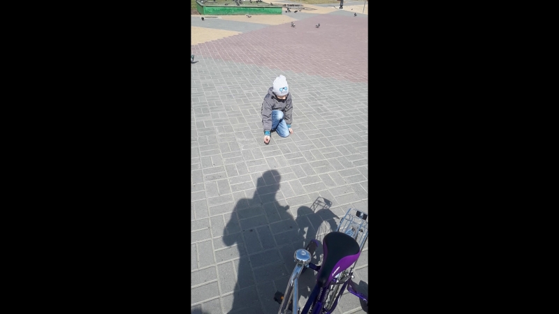 гуль корм