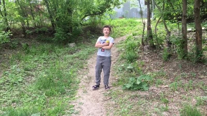 Сафей лох
