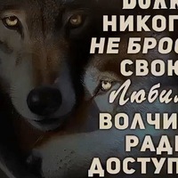 Алексей Новик | Минск
