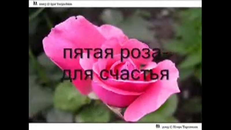 VID-20181118-WA0003.mp4