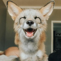 Ксюша Воронина | 