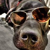 Михаил Косолапов | Ростов-на-Дону