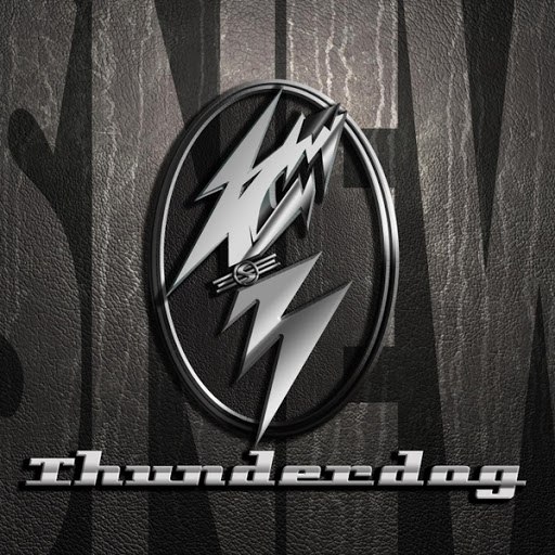 Snew альбом Thunderdog