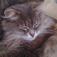 Екатерина Петунина