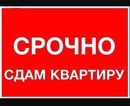 Объявление от Дмитрий - фото №1