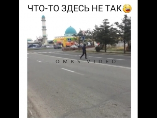 Иттің өзі пешеходпен жүреді 😅