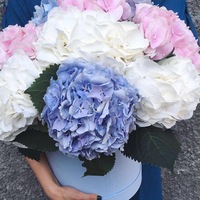 Анастасия Каменева
