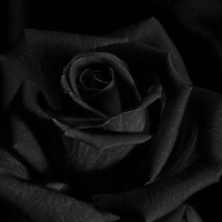 Данна Новожилова