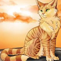 Катя Захарова | Светлогорск