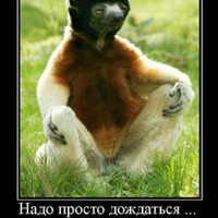 Михаил Агафонов | Усть-Каменогорск