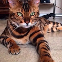 Василий Сергеевич | Дзержинск