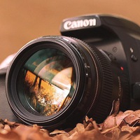 Дмитрий Сясин