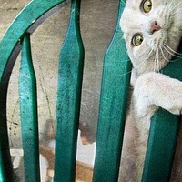 Валерия Синичкина | Пенза