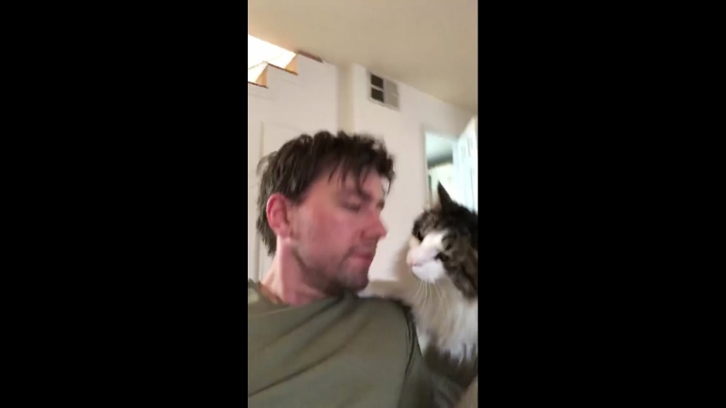 Instagram Torrance Coombs.