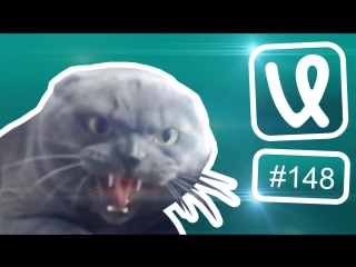 Лучшие ролики недели #148 Как голосовать на выборах?