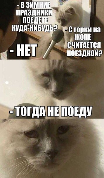 dsH6PGvUgJU.jpg