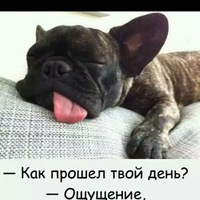 Баха Каримов | 